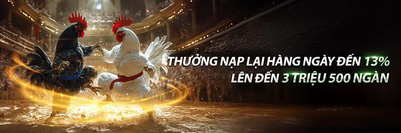 Đá Gà Campuchia 67 Trực Tiếp - Trải nghiệm cá cược đỉnh cao tại 888p